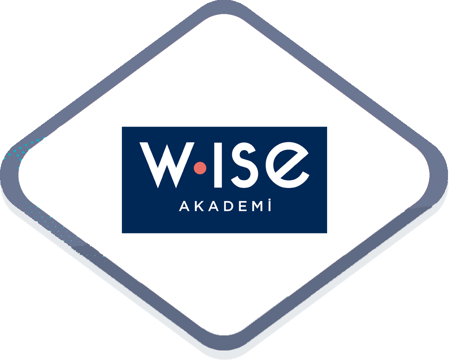 Wise Akademi